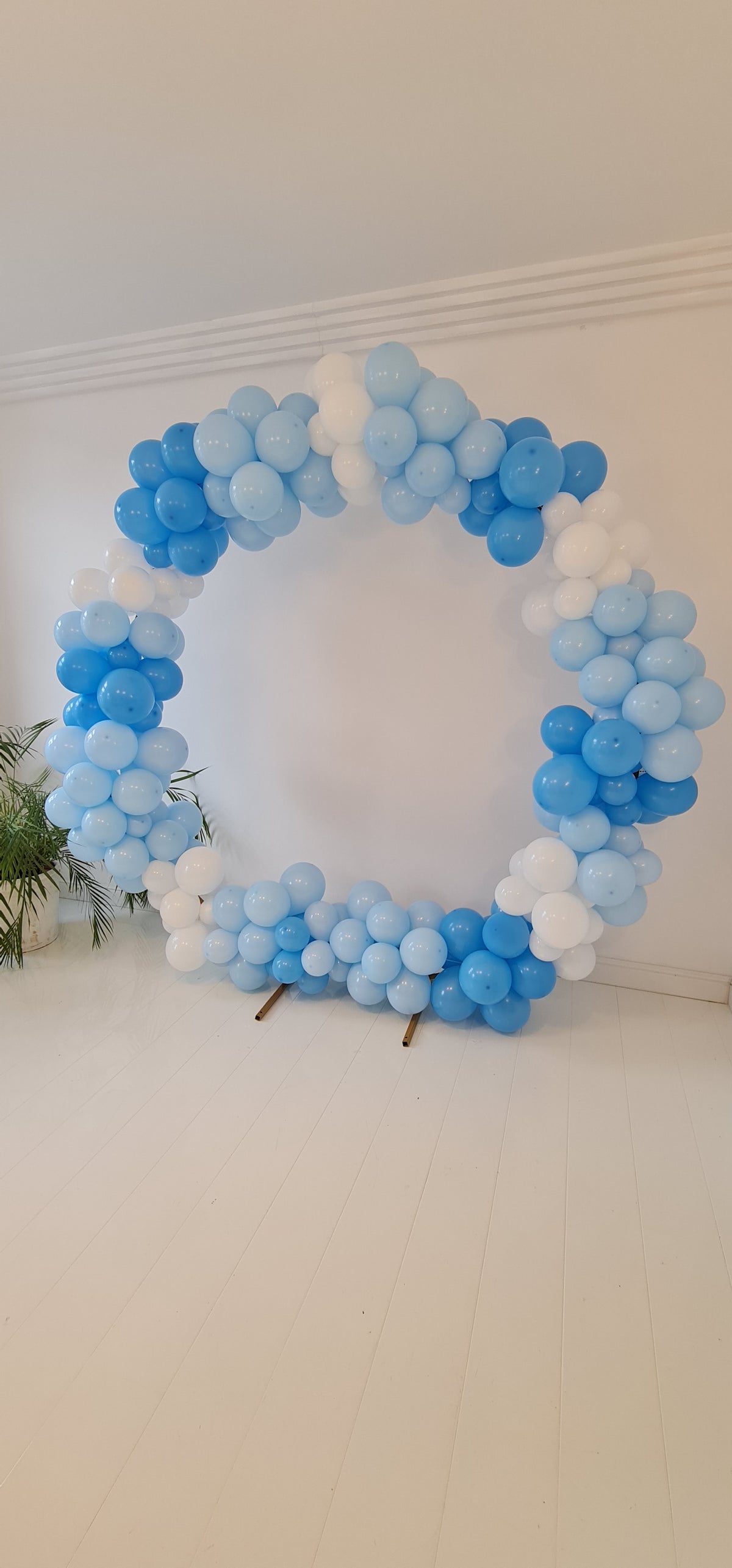 6m Ballongirlande für Ballonbogen MIETEN Hochzeit Geburtstag Jubiläum