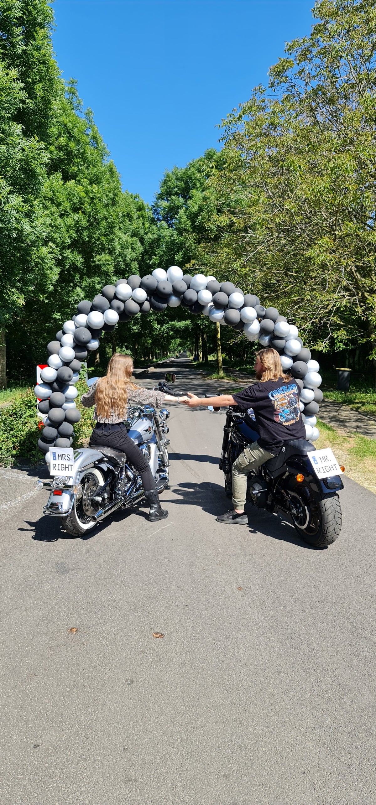 6m Ballongirlande für Ballonbogen MIETEN Hochzeit Geburtstag Jubiläum