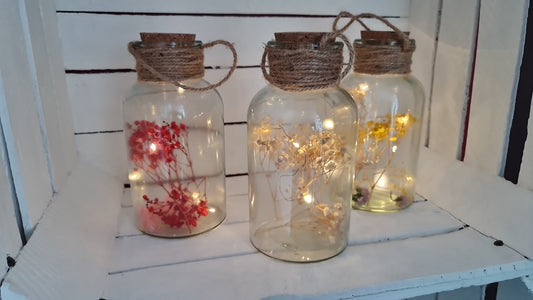 Bild von Beleuchtetes Dekoglas mit Trockenblumen MIETEN 