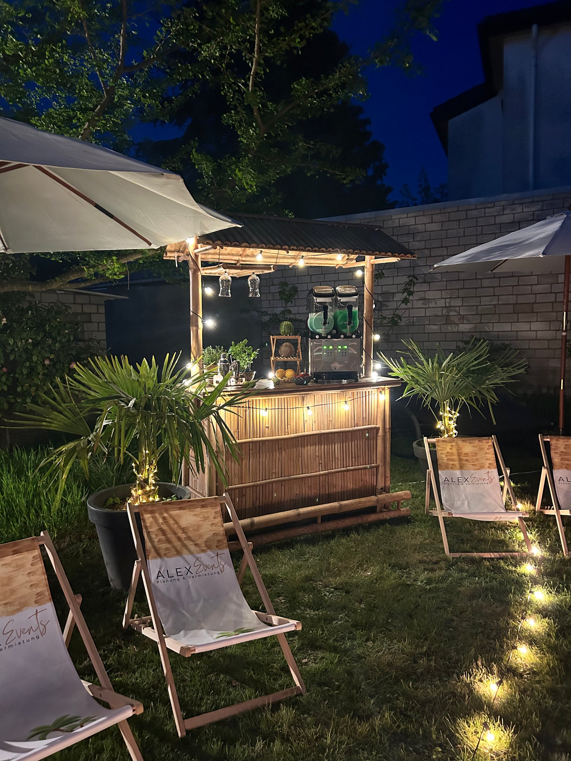 Bild von Palme ca. 1,30m hoch MIETEN 